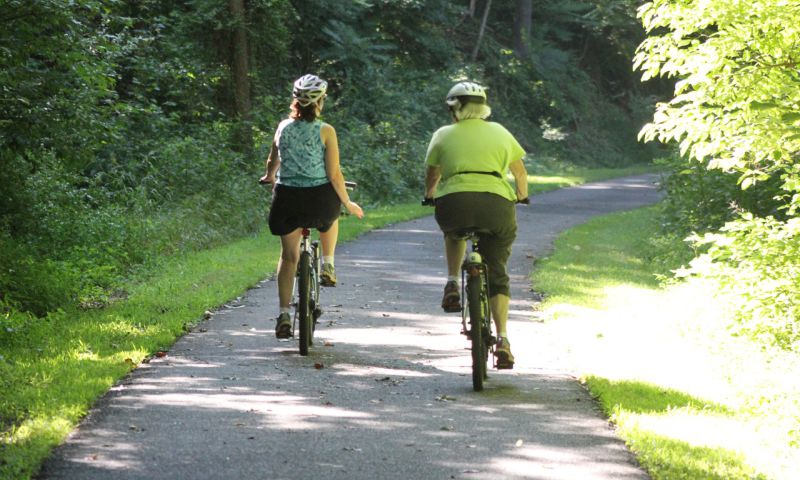 Kobiety na rowerach jadą utwardzoną ścieżką w lesie