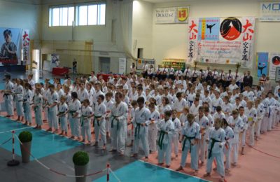 Więcej o: X Otwarte Mistrzostwa Jury Krakowsko-Częstochowskiej Oyama Karate Dzieci i Młodzieży