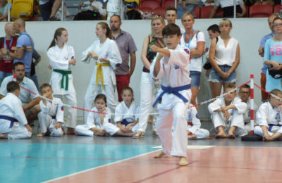 Więcej o: XI Otwarte Mistrzostwa Jury Krakowsko-Częstochowskiej Oyama Karate Dzieci i Młodzieży